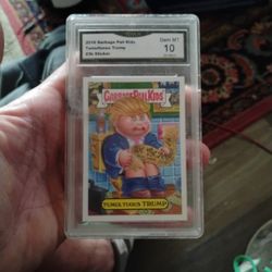 Cumulus Trump Garbage Pail Card