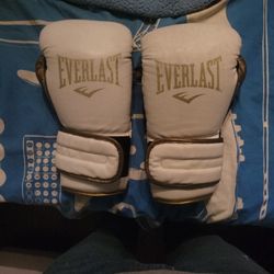 14 OZ Boxing Gloves 