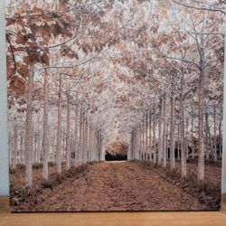 Autumn Tree Canvas