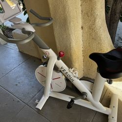 Yesoul  Exercise Bike