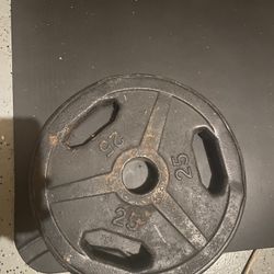 25 Pound Weights