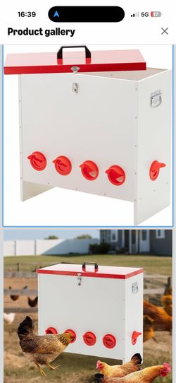 10-Port Weatherproof Chicken Feeder