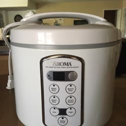 Slow cooker, rice cooker and steamer