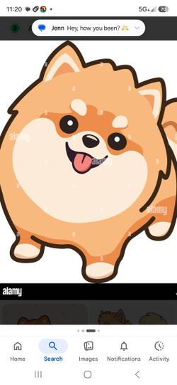 Pomeranian Shampoo