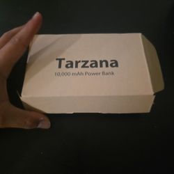 Power Bank 10000 mAh