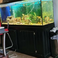 120 Gallon FISH TANK