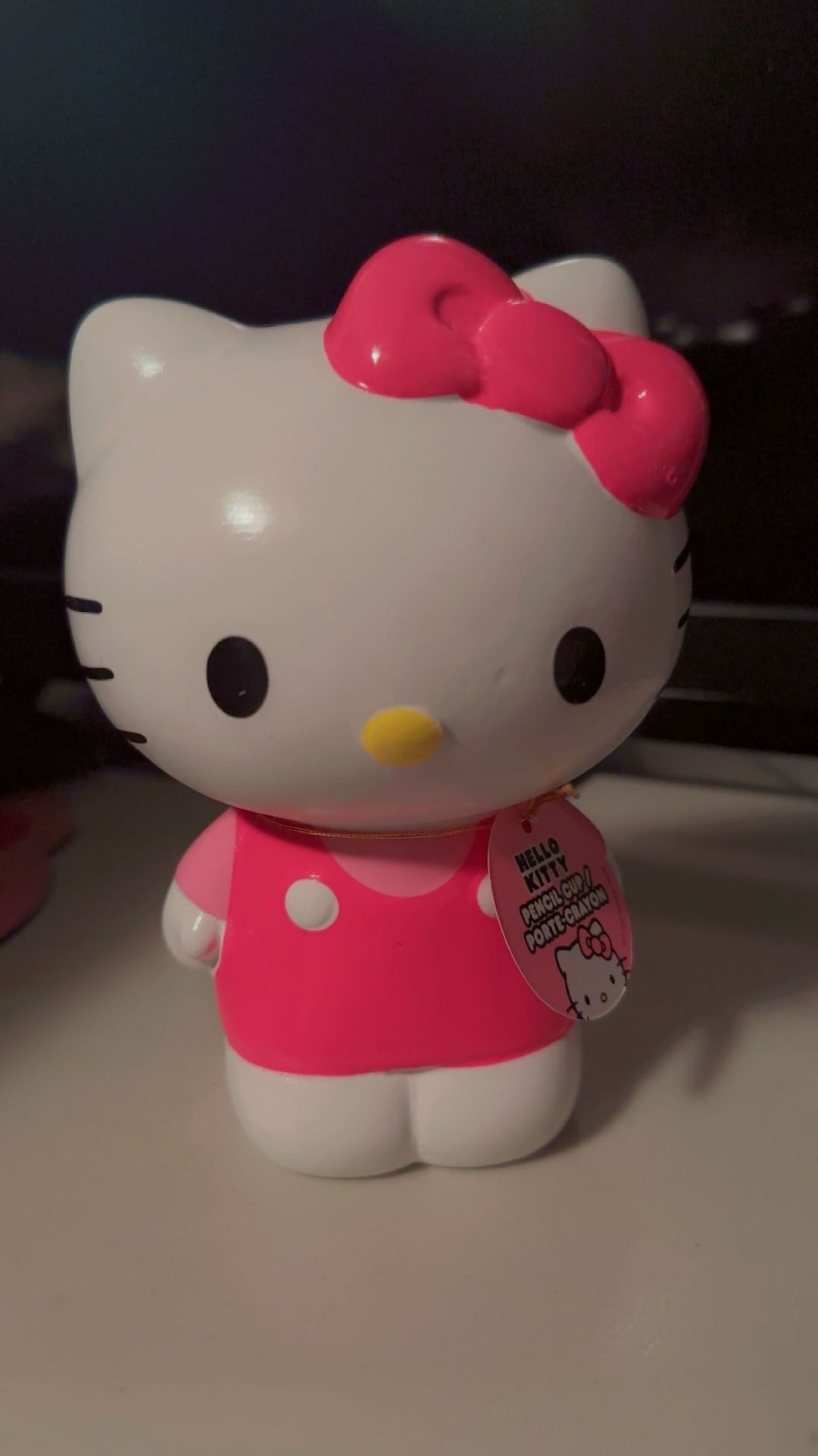 Hello Kitty Pencil cup Organizer