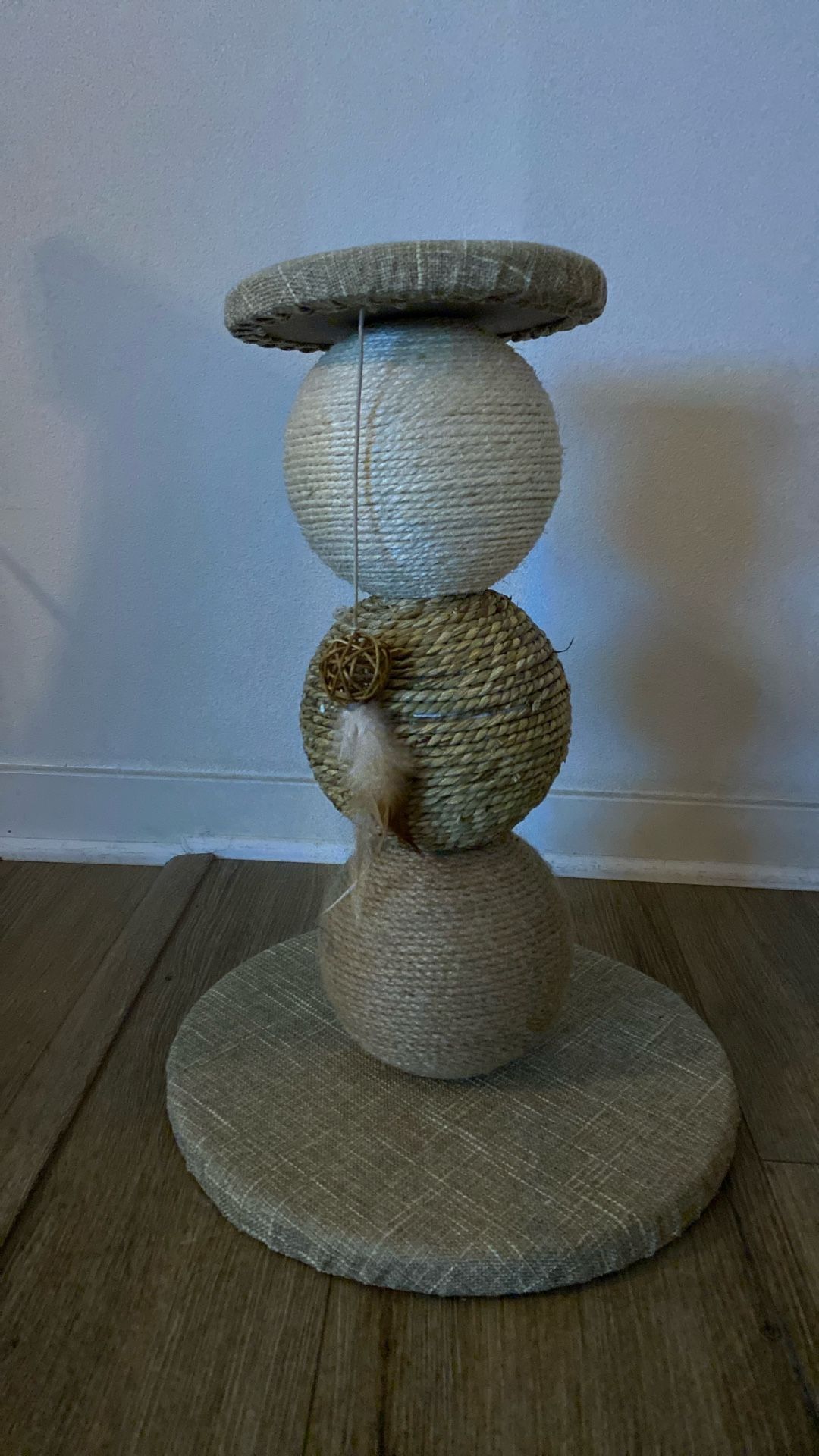 Cat Scratcher