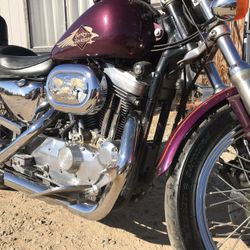 1997 Harley Davidson Sportster 