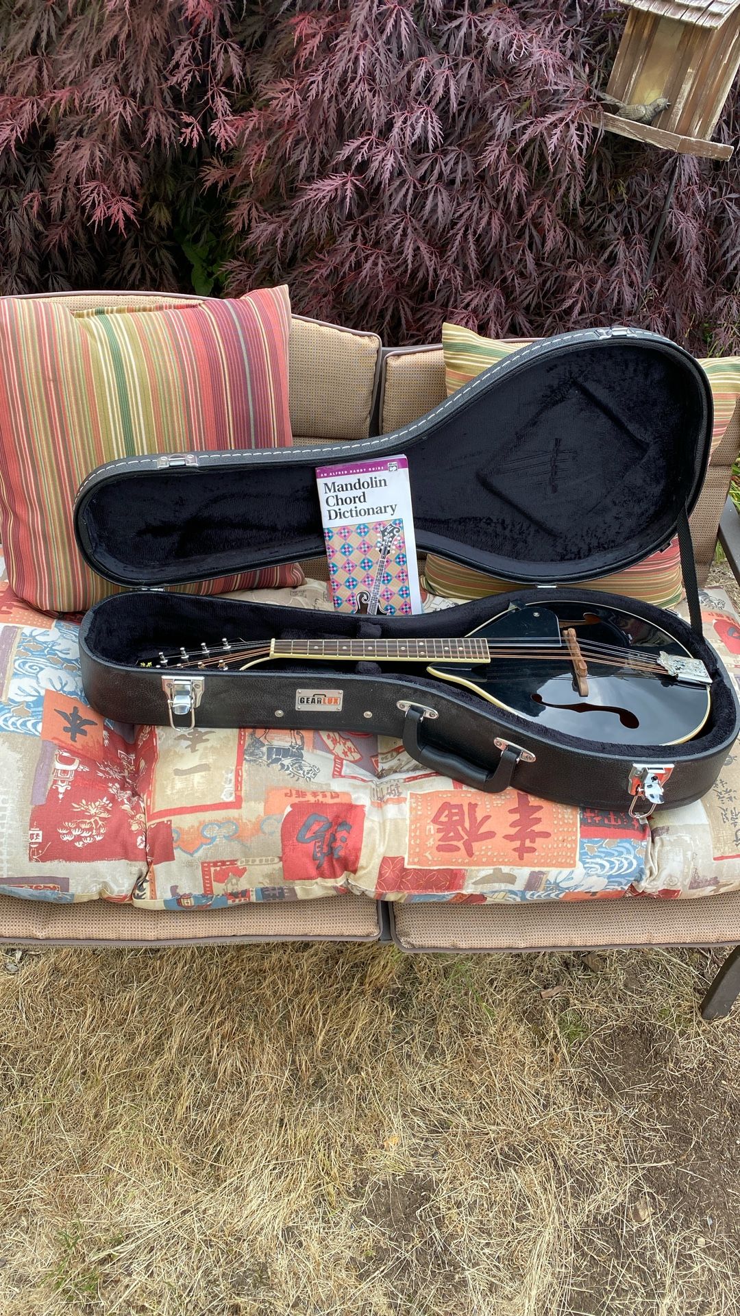 Rogue Mandolin