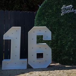 Wooden Marquee Numbers Grass Wall