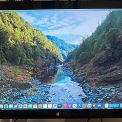 Apple Thunderbolt Display 27” + VESA Bracket