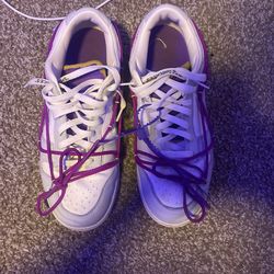 LOT 28/50 off white nike dunks 