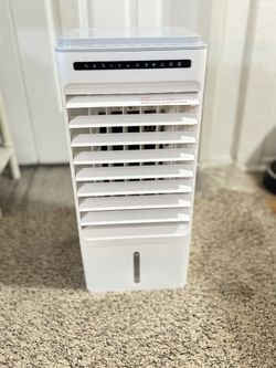 Fan