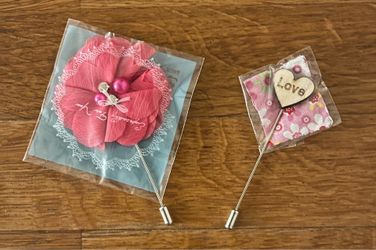 2 Pins for clothing or hats