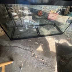 90 gallon reptile/fish tank 