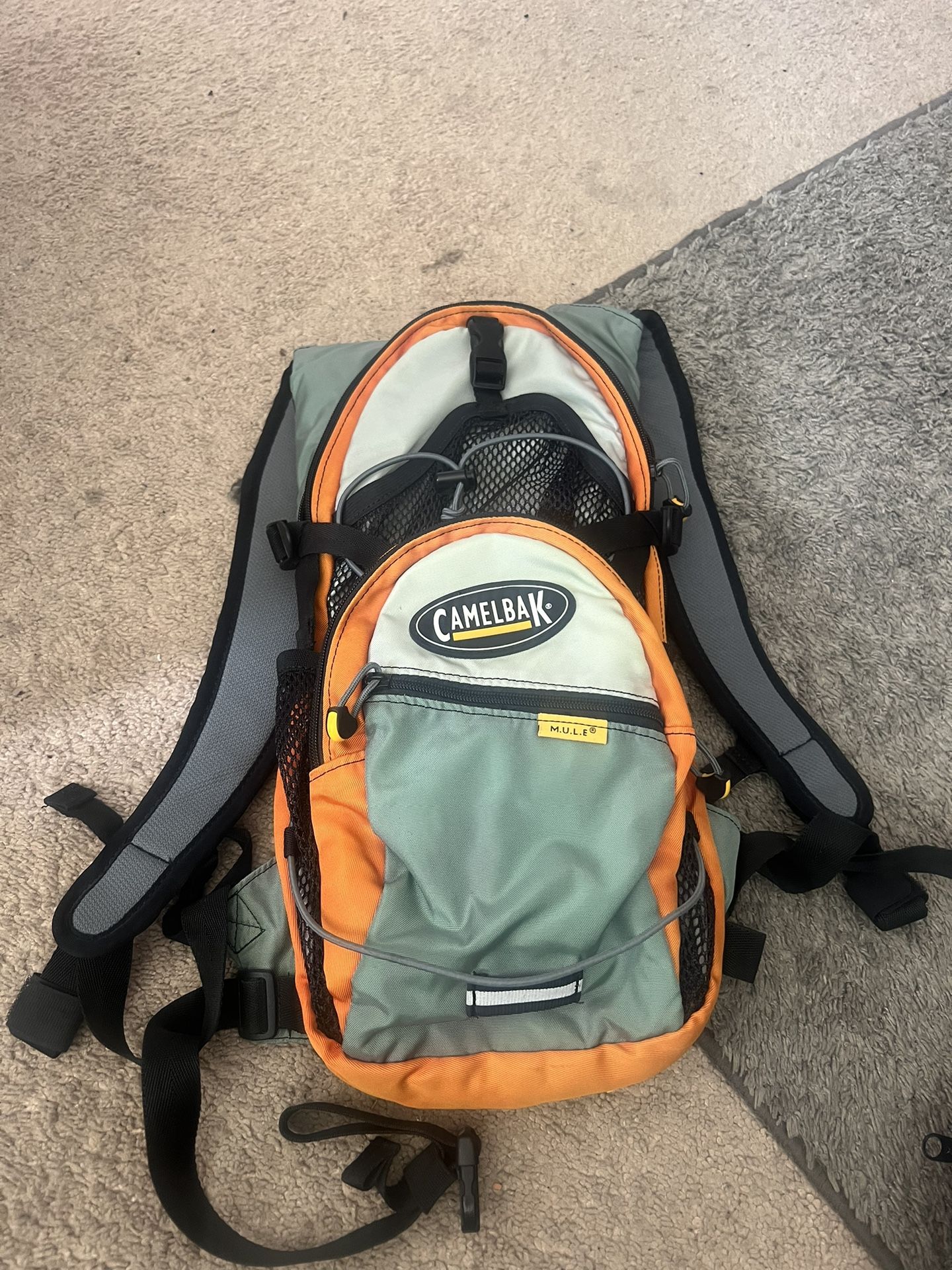 Camelback Camelbak Mule Hydration Backpack
