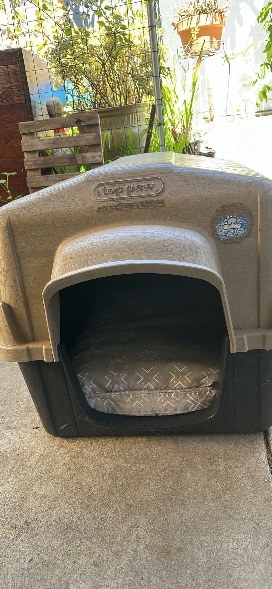 Dog House With Bed