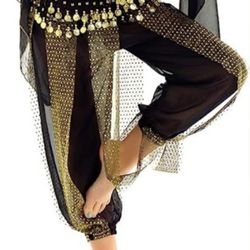 2 Piece Belly Dance Costume