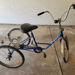Adult Blue 3 wheel bicycle. Cignal village velo.