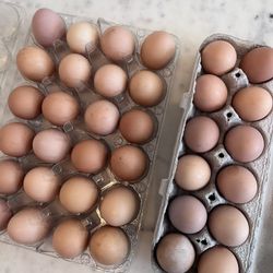 Organic Eggs 