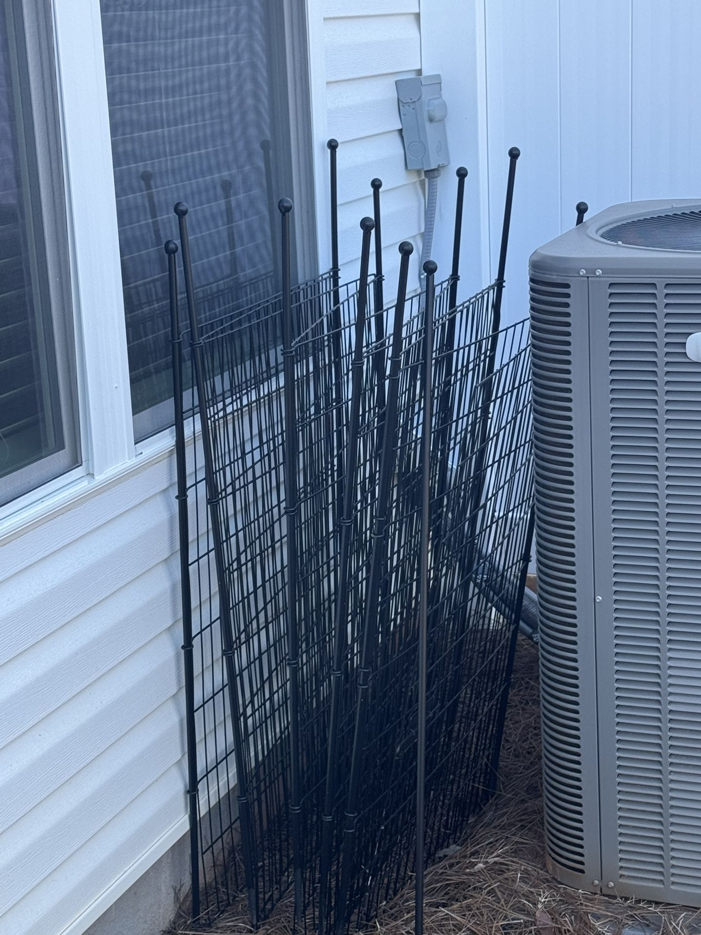 Dog Fence