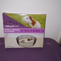 Animal Playtime 