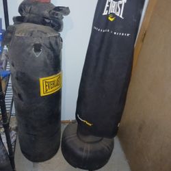 Everlast And Everflex Punching Bags W/ Gloves