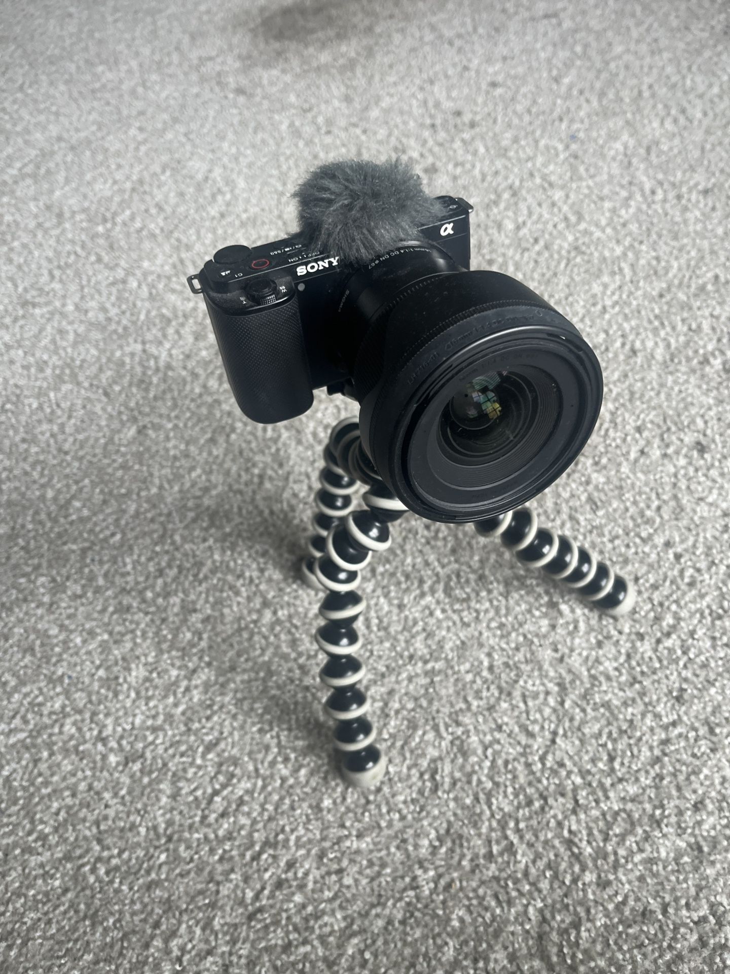 Sony EV-10 With Sigma Lens