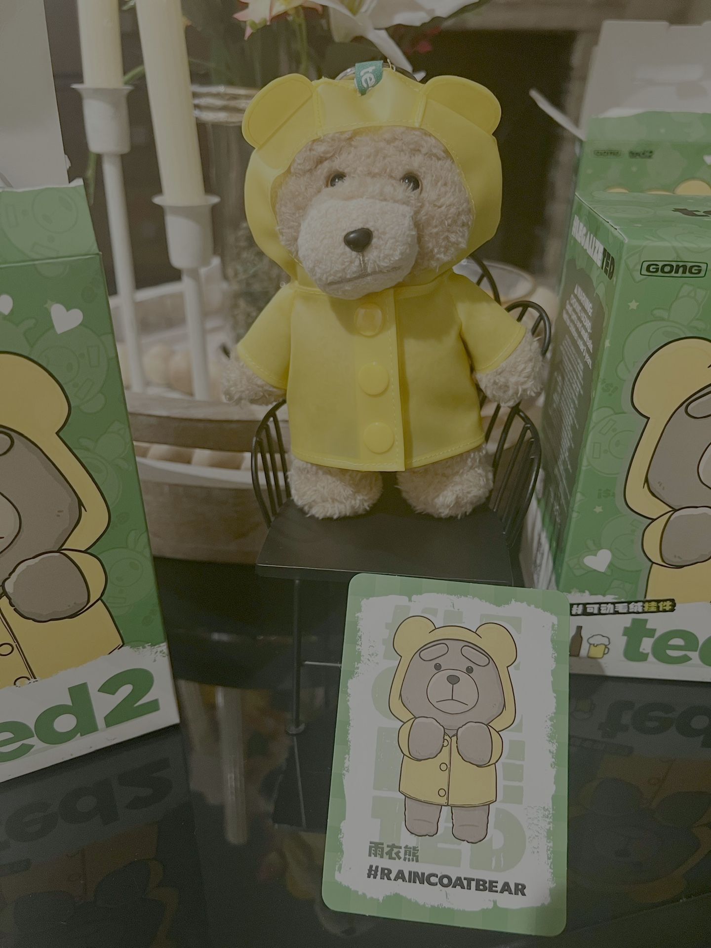 Ted2 Teddy Bear Action Plush Pendant Raincoatbear