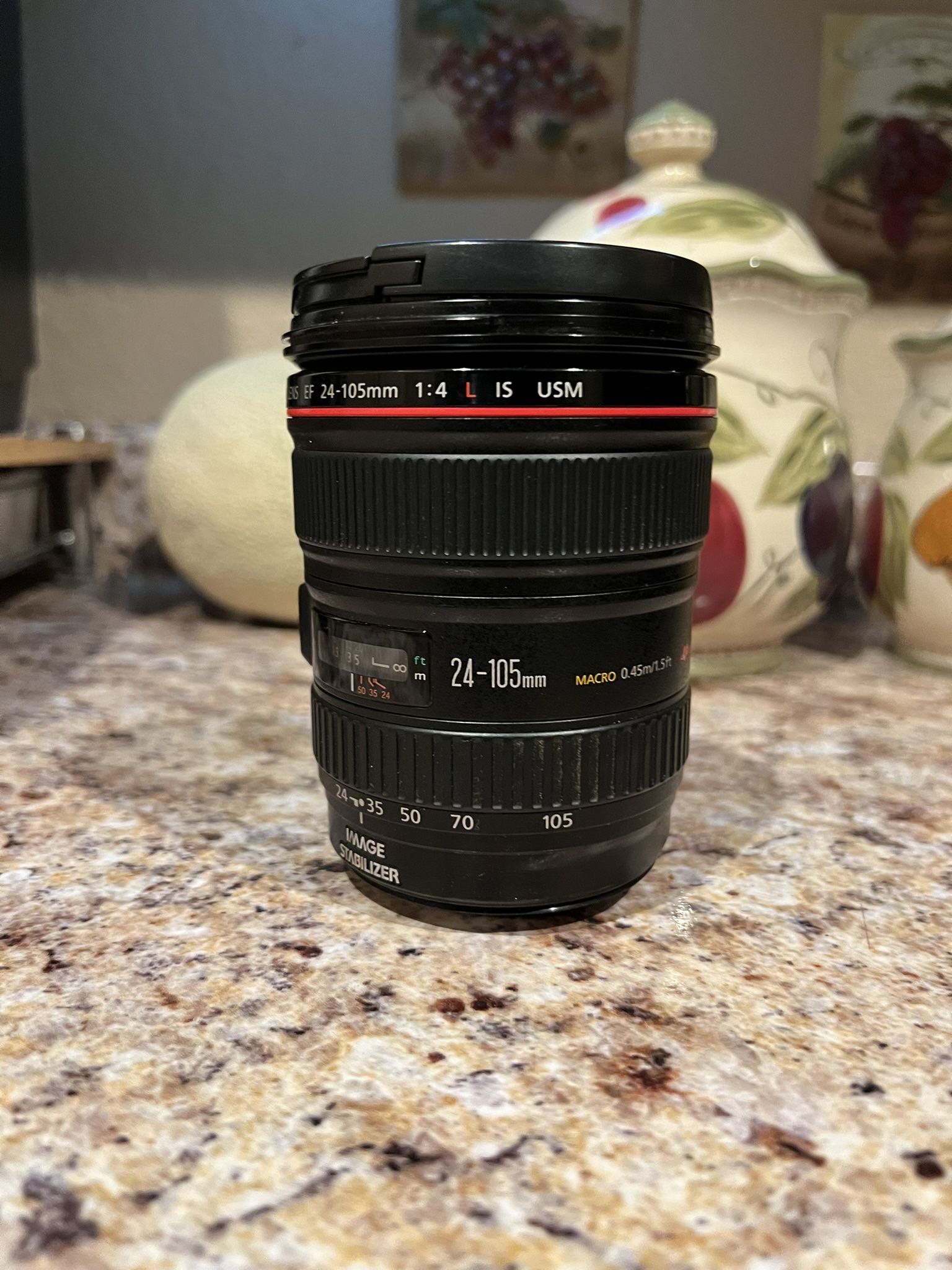 Canon 24-105 L lens 