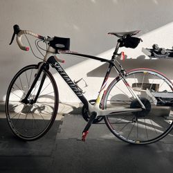 2010 Specialized Tarmac Comp