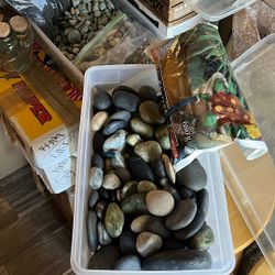 Garden Rocks And Charcoal