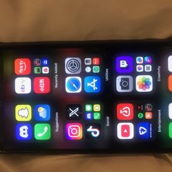 iPhone X With TikTok 