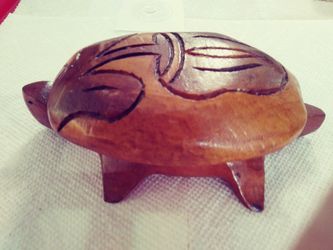 Carved Turtle wood case
