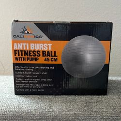 Fitness Ball with Pump