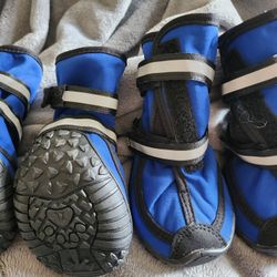 Dog Walking Shoe's "XLG"