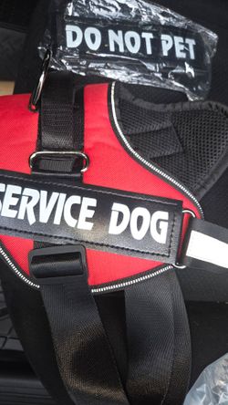 Dog service vest