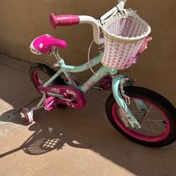 Paris BMX Bike