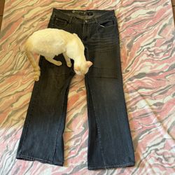 flared jeans
