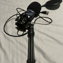 Microphone 