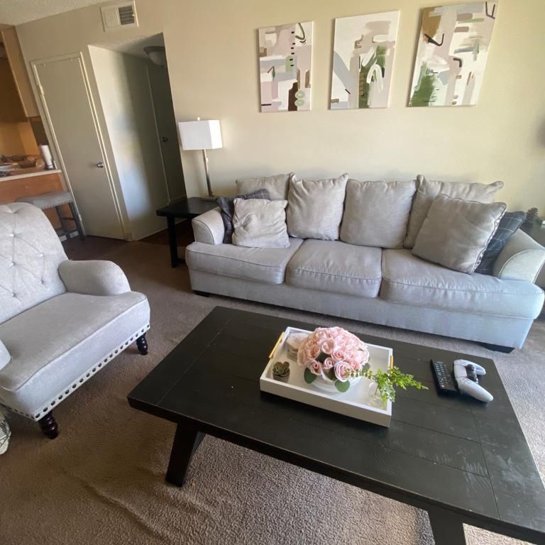 Gray Living Room Set