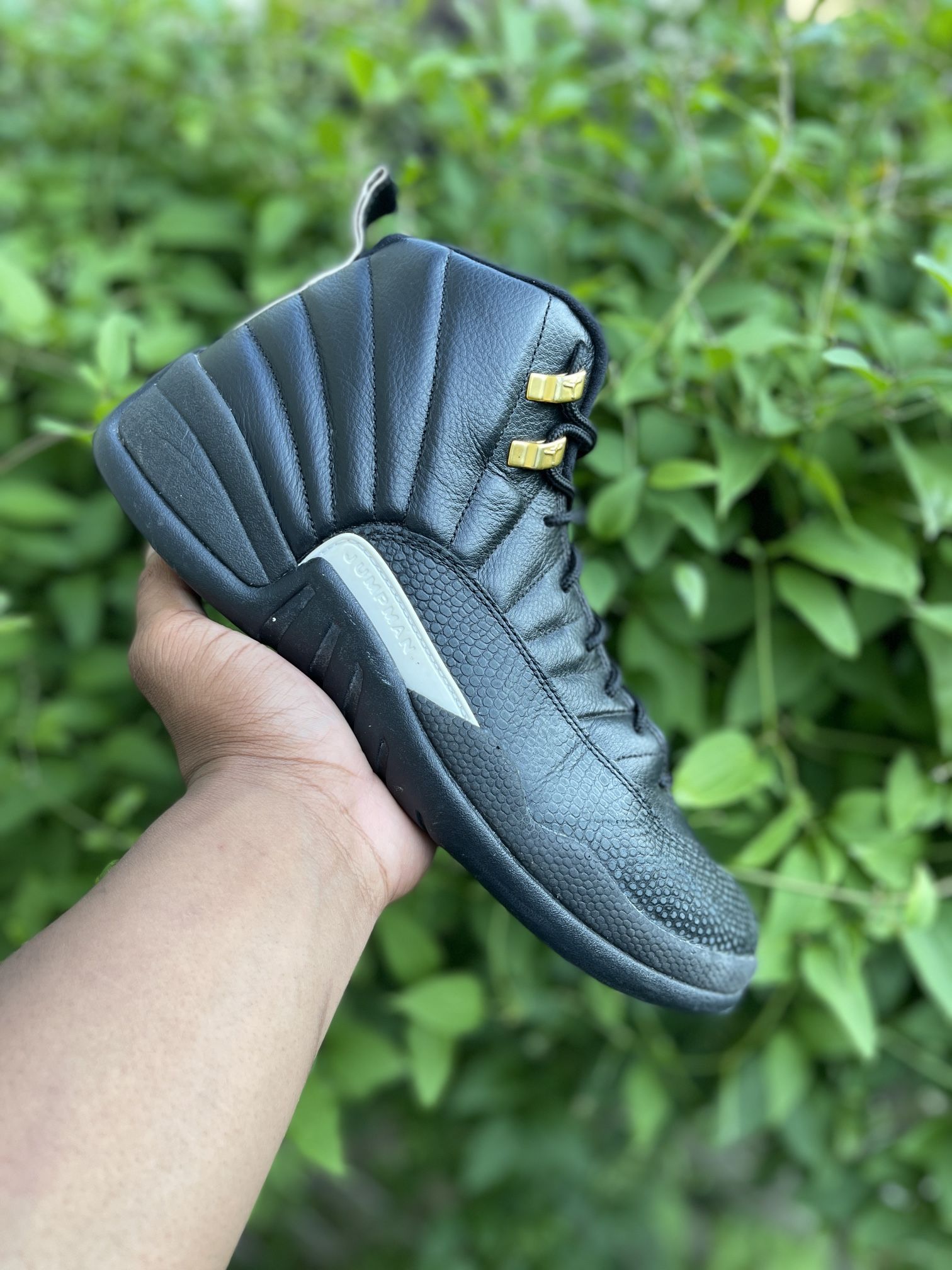 Jordan 12 \