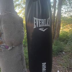 Everlast Punching Bag