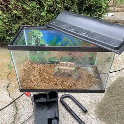 10 gallon