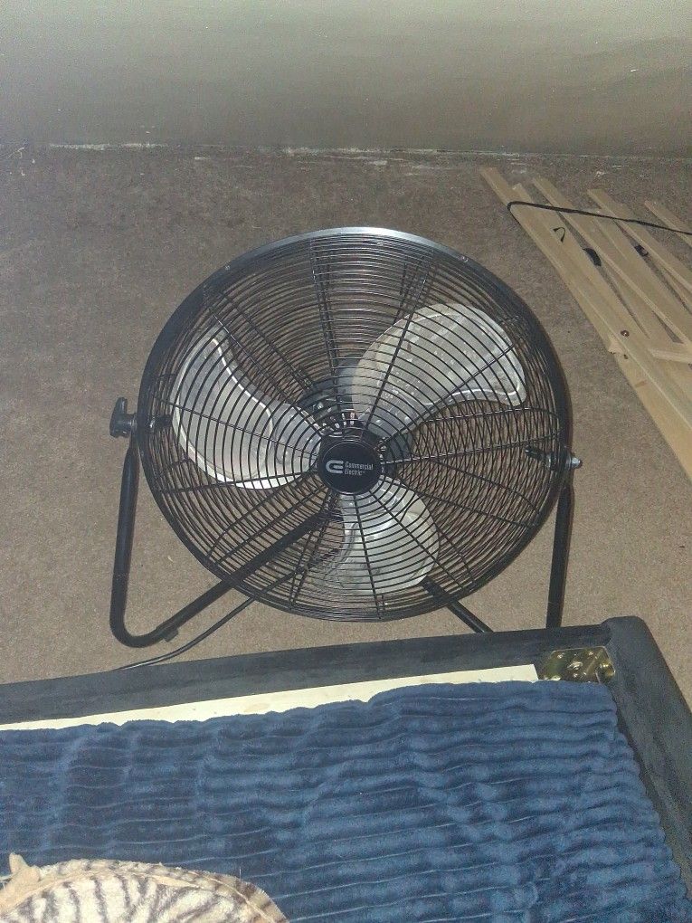 Fan