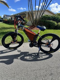 Custom Middrive Mountain Bike 