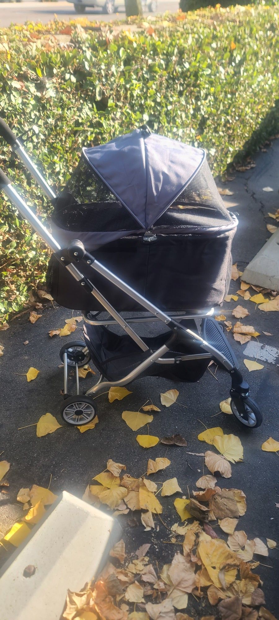 Dog Stroller