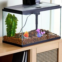 MAKE ME AN OFFER!!!MOVING MUST GO! 10 Gallon Aquarium