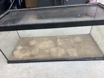 Fish Tank